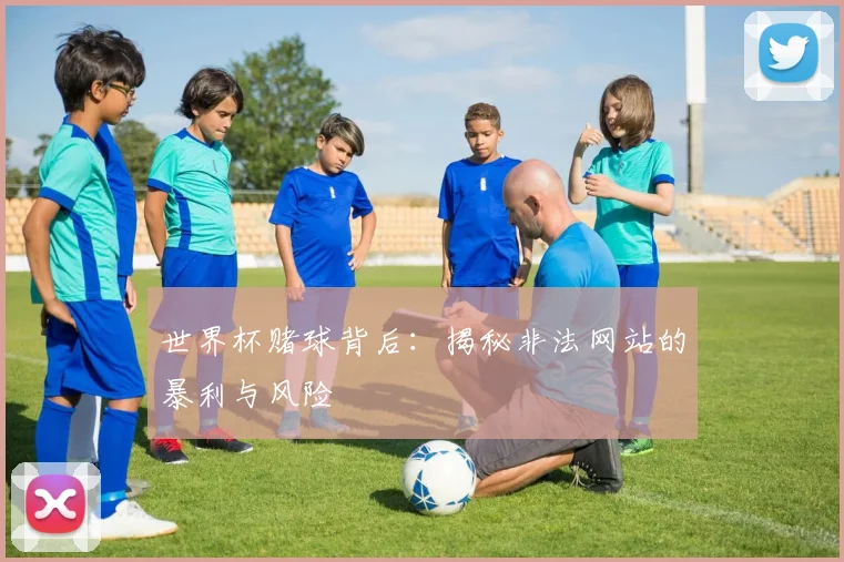 世界杯赌球背后:揭秘非法网站的暴利与风险