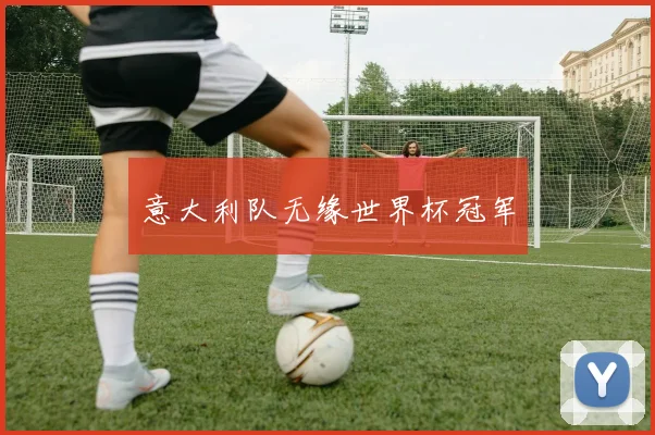 意大利队无缘世界杯冠军