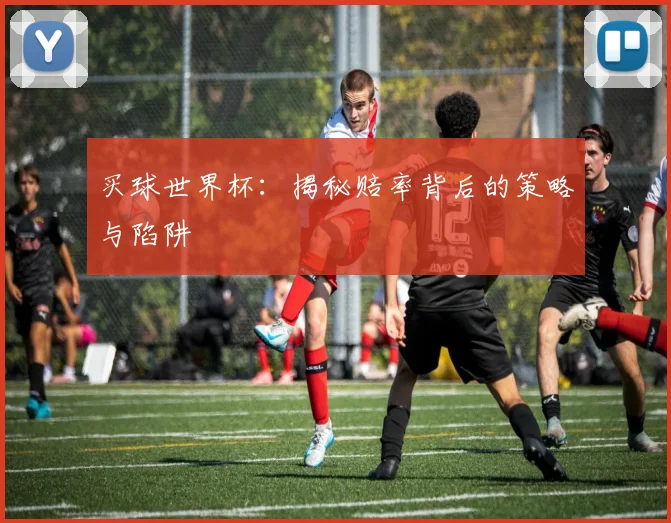 买球世界杯:揭秘赔率背后的策略与陷阱