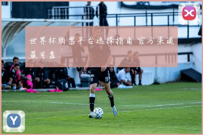 世界杯购票平台选择指南 官方渠道最可靠
