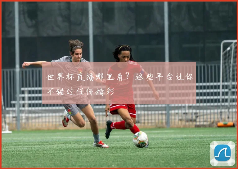 世界杯直播哪里看?这些平台让你不错过任何精彩