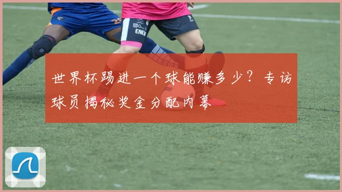 世界杯踢进一个球能赚多少？专访球员揭秘奖金分配内幕