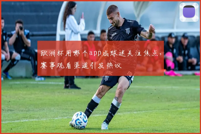 欧洲杯用哪个app成球迷关注焦点,赛事观看渠道引发热议