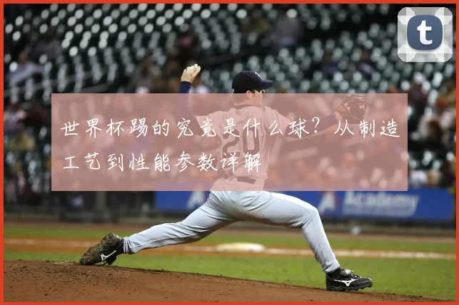 世界杯踢的究竟是什么球？从制造工艺到性能参数详解