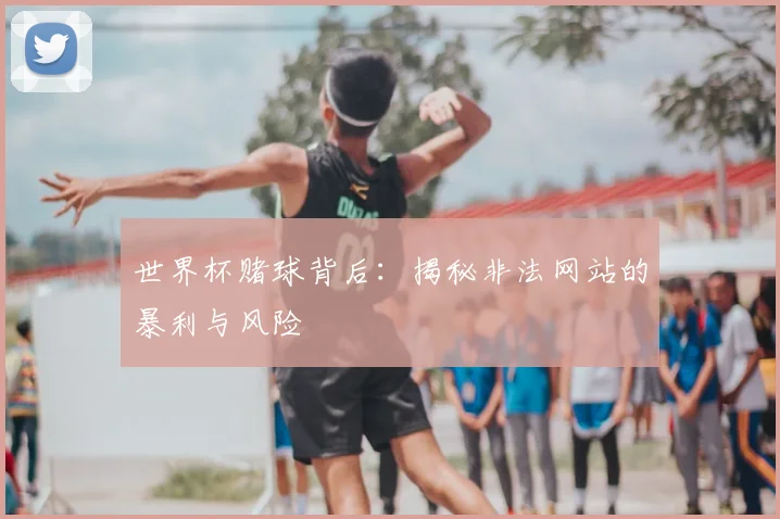 世界杯赌球背后:揭秘非法网站的暴利与风险