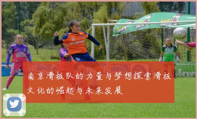 南京滑板队的力量与梦想探索滑板文化的崛起与未来发展