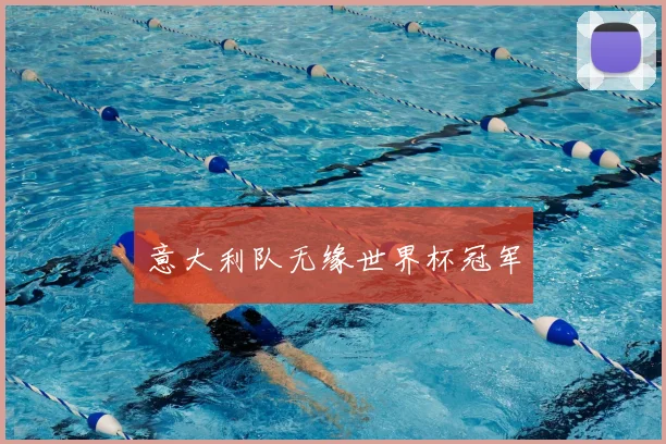 意大利队无缘世界杯冠军