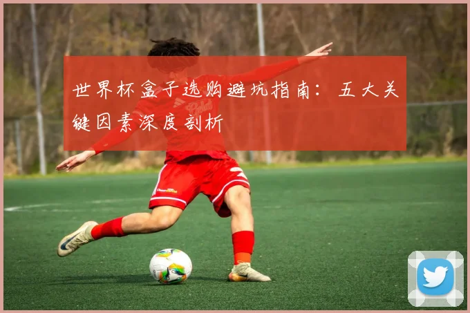 世界杯盒子选购避坑指南:五大关键因素深度剖析