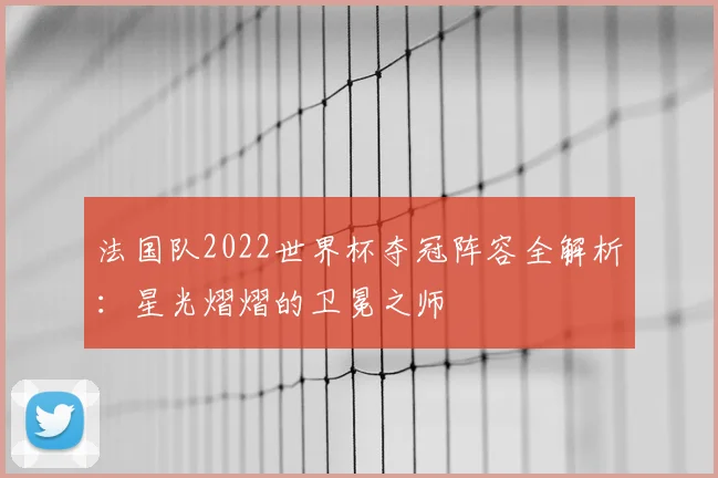 法国队2022世界杯夺冠阵容全解析：星光熠熠的卫冕之师