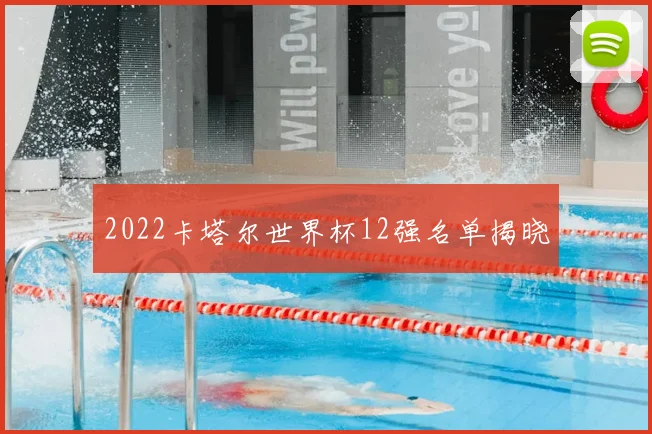 2022卡塔尔世界杯12强名单揭晓